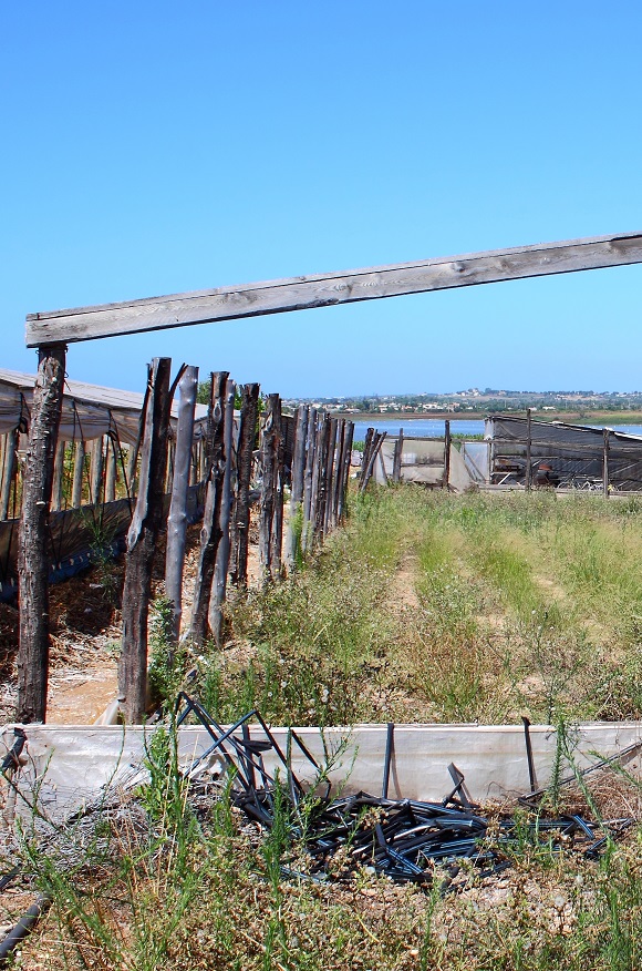 Before the renaturation and biotope optimisation of newly purcha